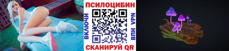 Псилоцибиновые грибы Psilocybine cubensis  Гусиноозёрск 